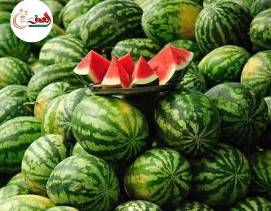 الأمطار تنقذ موسم “الدلاح” بمولاي يعقوب