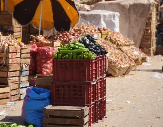 مع ارتفاع أسعارها.. مطالب بفتح تحقيق في احتكار البصل بالبيضاء ومدير سوق الجملة يوضح