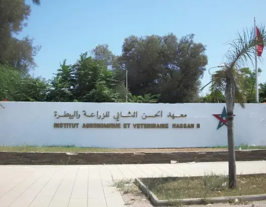 نقابة التعليم العالي ترفض “تطبيع” معهد الزراعة بأكادير مع إسرائيل