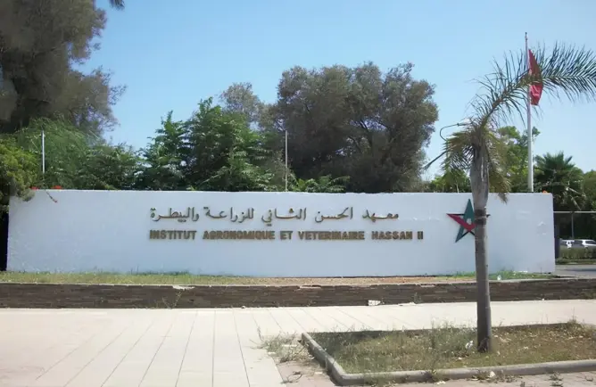 نقابة التعليم العالي ترفض “تطبيع” معهد الزراعة بأكادير مع إسرائيل