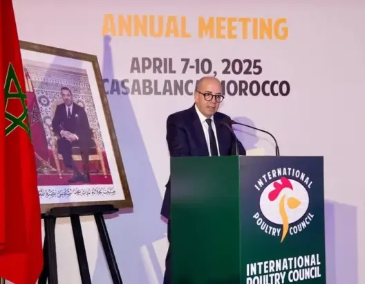 انطلاق مؤتمر المجلس الدولي للدواجن لأول مرة بالمغرب.. والبواري: إفريقيا تسعى للاكتفاء الغذائي