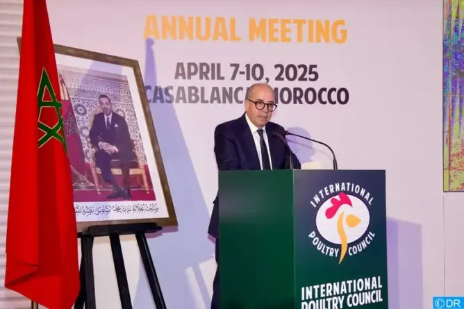 انطلاق مؤتمر المجلس الدولي للدواجن لأول مرة بالمغرب.. والبواري: إفريقيا تسعى للاكتفاء الغذائي