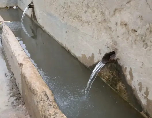 عين زبزار مكناس