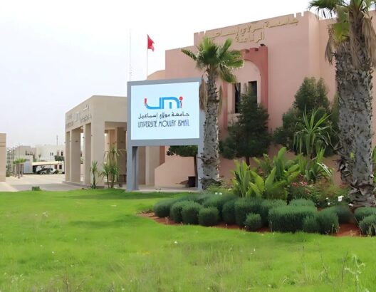 جامعة مولاي إسماعيل بمكناس