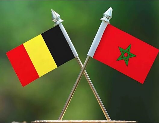 بلجيكا / المغرب/ مغاربة