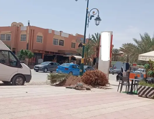 وقّعها المئات.. عريضة تطالب بالتراجع عن غرس النخيل بشوارع الرشيدية