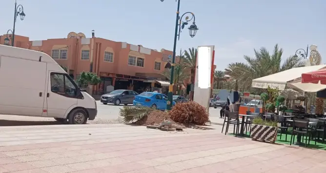 وقّعها المئات.. عريضة تطالب بالتراجع عن غرس النخيل بشوارع الرشيدية