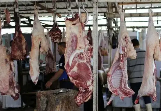 واجبات استغلال المجزرة الجماعية تفجر أزمة بخنيفرة.. مطالب بفتح تحقيق والجماعة توضح