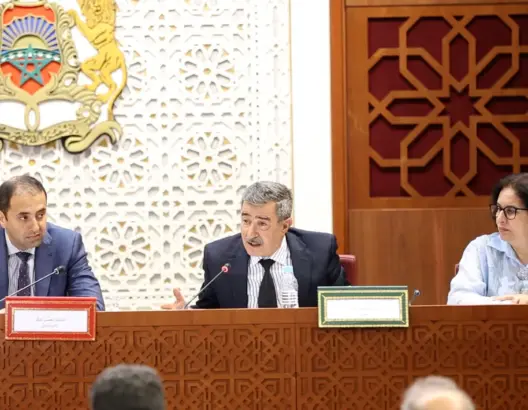 الصبار : الحكومة بالتفاعل مع المؤسسات الدستورية