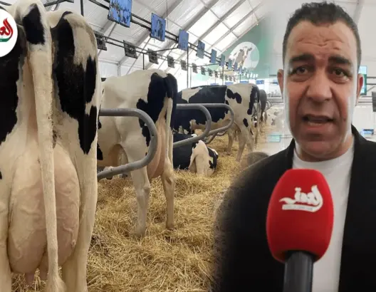 جدل علاقة السل باستهلاك الحليب