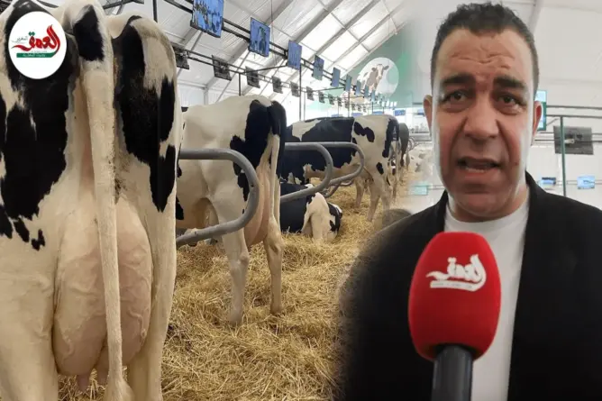 جدل علاقة السل باستهلاك الحليب