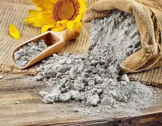 أشرفت إدارة "روسلخوزنادزور" بجمهورية باشكورستان الروسية على تصدير شحنة ضخمة من كسب عباد الشمس المحبب إلى المملكة المغربية، وذلك في إطار جهود تعزيز المبادلات التجارية الزراعية بين البلدين.