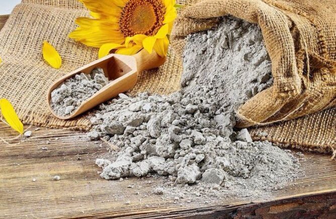 أشرفت إدارة "روسلخوزنادزور" بجمهورية باشكورستان الروسية على تصدير شحنة ضخمة من كسب عباد الشمس المحبب إلى المملكة المغربية، وذلك في إطار جهود تعزيز المبادلات التجارية الزراعية بين البلدين.