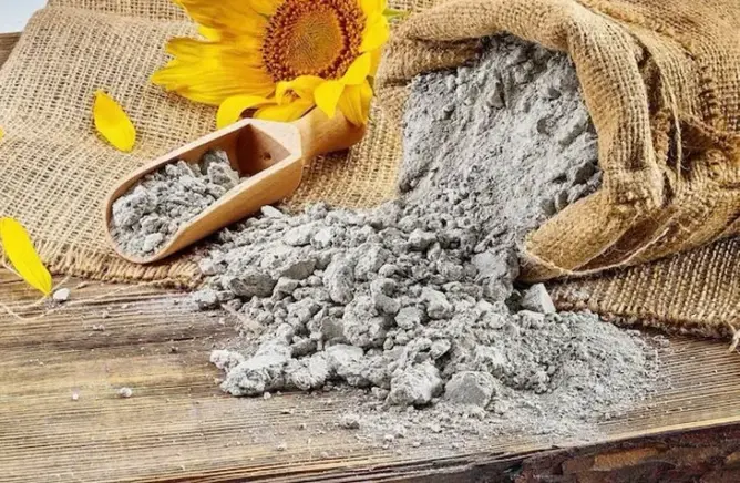 أشرفت إدارة "روسلخوزنادزور" بجمهورية باشكورستان الروسية على تصدير شحنة ضخمة من كسب عباد الشمس المحبب إلى المملكة المغربية، وذلك في إطار جهود تعزيز المبادلات التجارية الزراعية بين البلدين.