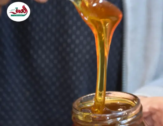 الأمطار الأخيرة تملأ الخلايا أملا.. ونحالون يستبشرون بموسم زاخر
