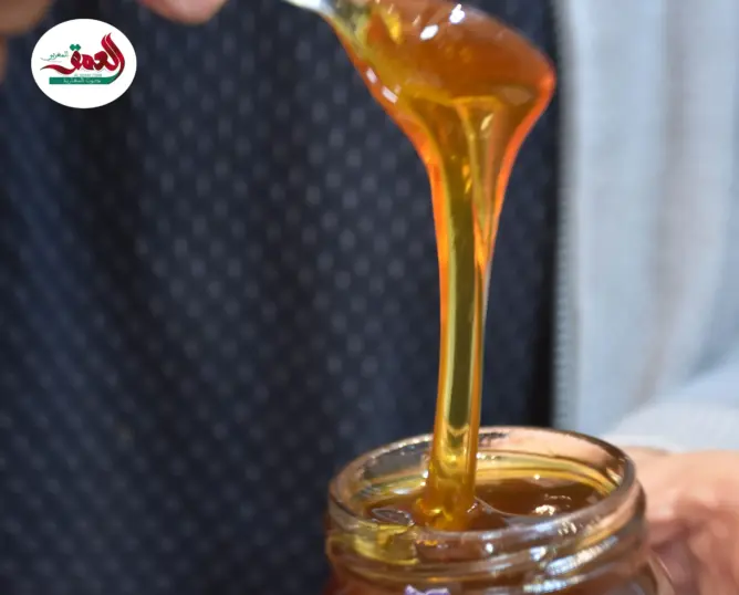 الأمطار الأخيرة تملأ الخلايا أملا.. ونحالون يستبشرون بموسم زاخر