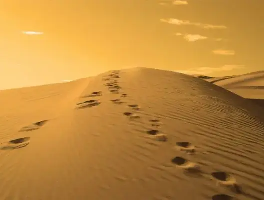 بعد بحث مكثف.. العثور على سائح فرنسي اختفى في صحراء زاكورة
