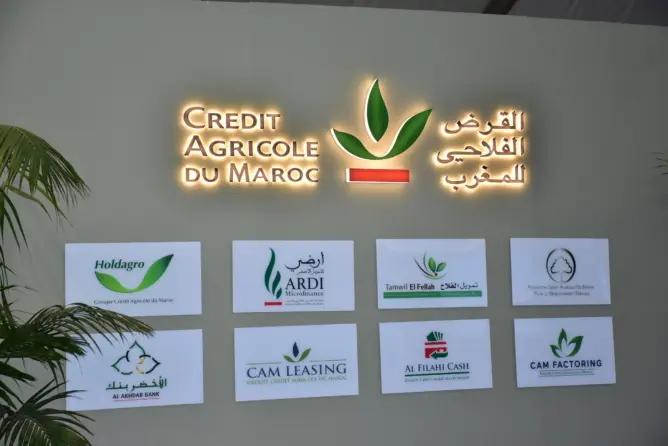 القرض الفلاحي يقدم “مبادرات مبتكرة”