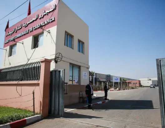 تجار اللحوم الحمراء بالبيضاء يلوّحون بالتصعيد احتجاجا على إقصائهم من التغطية الصحية