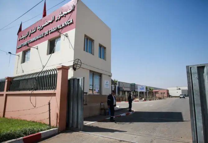 تجار اللحوم الحمراء بالبيضاء يلوّحون بالتصعيد احتجاجا على إقصائهم من التغطية الصحية