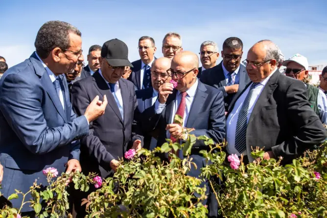 وزير الفلاحة يترأس افتتاح الدورة 60 لمعرض الورد العطري بقلعة مكونة ويتفقد مشاريع “الجيل الأخضر”