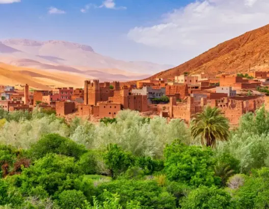 واحات الجنوب الشرقي.. مورد وتراث اجتماعي مهدد وفعاليات تطالب بالتدخل