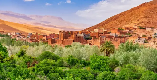 واحات الجنوب الشرقي.. مورد وتراث اجتماعي مهدد وفعاليات تطالب بالتدخل
