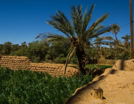 تقرير يحذر: المغرب يواجه “تسونامي” بيئي بسبب ضعف الحكامة وسوء تطبيق السياسات