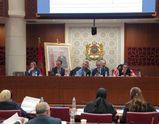 وهبي ينجح في تمرير مشروع قانون المسطرة الجنائية بلجنة العدل والتشريع