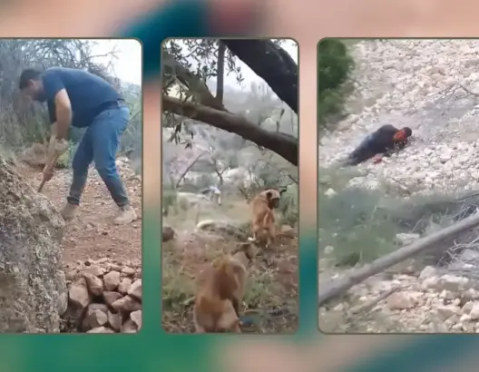 جريمة مروّعة تهز صفرو.. ثلاثة أشخاص يقتلون فلاحا وزوجته توثق الجريمة بفيديو