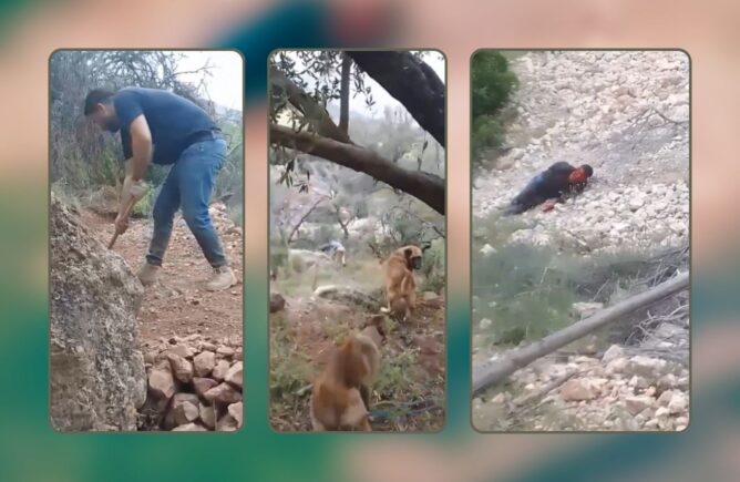 جريمة مروعة تهز صفرو.. ثلاثة أشخاص يقتلون فلاحا وزوجته توثق الجريمة بفيديو
