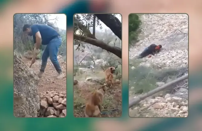 جريمة مروّعة تهز صفرو.. ثلاثة أشخاص يقتلون فلاحا وزوجته توثق الجريمة بفيديو