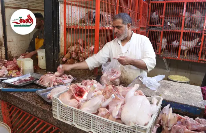 إلغاء شعيرة العيد وتأثيره على الدواجن.. تاجر بمراكش يكشف واقع السوق
