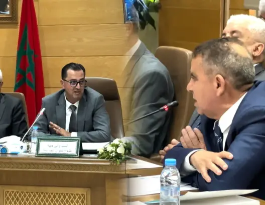 تصميم تهيئة يثير جدلا بطنجة.. التازي لرئيس المنعشين العقاريين: “حوتة كتخنز الشواري”
