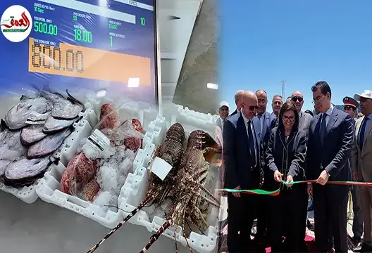 من الجيل الجديد.. سوق سمك نموذجي يرى النور بميناء الحسيمة