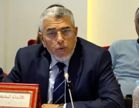 المصطفى الرميد: المبادرة البرلمانية ضعيفة والمجتمع المدني غائب عن التشريع