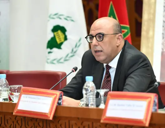 ولد الرشيد: مبادرات الملك رافعة لتكامل إفريقيا وبوابة لتحول استراتيجي في الساحل