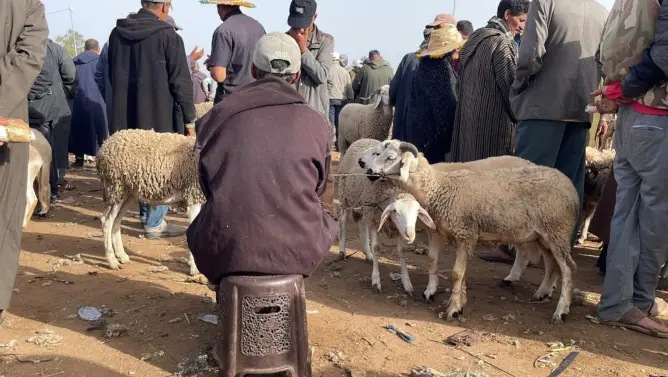 ملف دعم الكسابة.. مساءلة للبواري حول “إقصاء الرحل” وتأخر صرف المنح