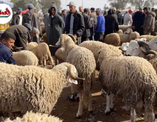 براح بسوق في دكالة: “العيد مكينش”