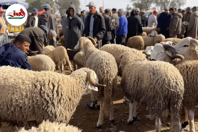 براح بسوق في دكالة: “العيد مكينش”