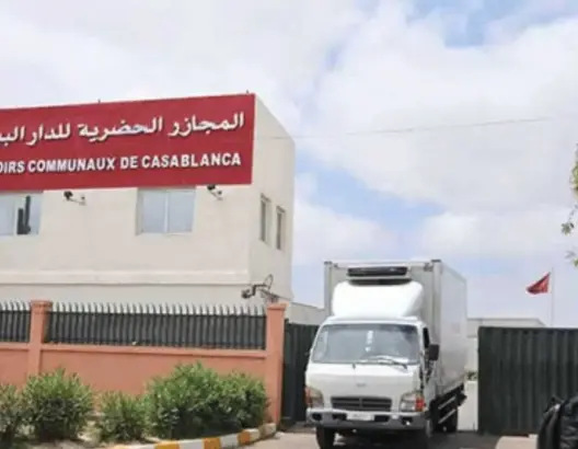 حمى اللحوم تجتاح البيضاء قبيل العيد.. المجازر تختنق و”الجشع” يثير مخاوف مواطنين