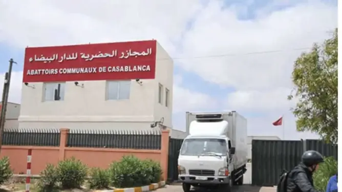 حمى اللحوم تجتاح البيضاء قبيل العيد.. المجازر تختنق و”الجشع” يثير مخاوف مواطنين
