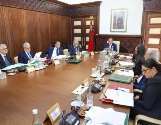 الحكومة تعيد تنظيم مهنة التراجمة.. ووهبي: وقفة تأمل لتجاوز نقط الضعف