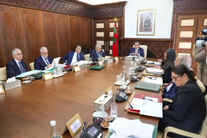 الحكومة تعيد تنظيم مهنة التراجمة.. ووهبي: وقفة تأمل لتجاوز نقط الضعف
