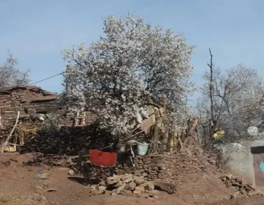 الأحرار يطالب وزير الداخلية بكشف أسباب تجميد مشاريع تنموية بأفقر إقليم بالمغرب
