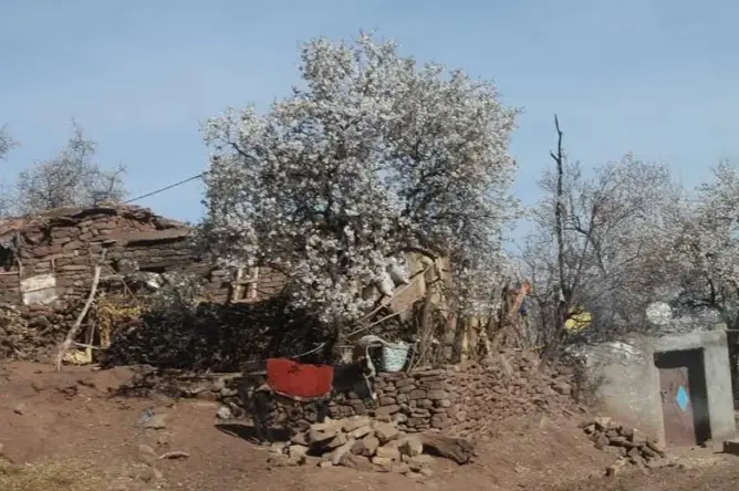 الأحرار يطالب وزير الداخلية بكشف أسباب تجميد مشاريع تنموية بأفقر إقليم بالمغرب