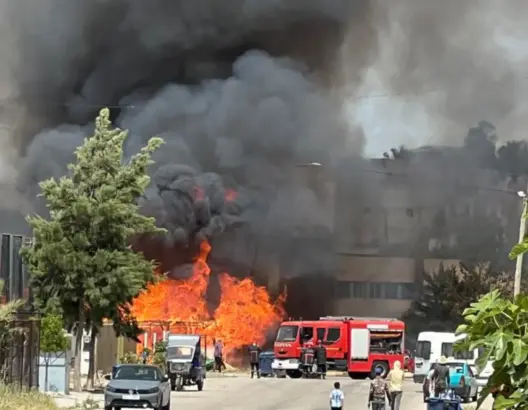 أتى على 12 محلا.. توقيف مشتبه فيه بإضرام النار في محلات لبيع القصب بطنجة