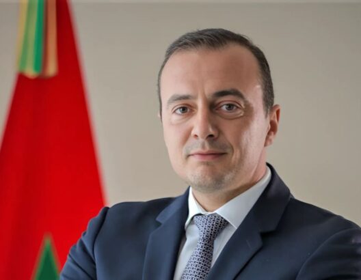 المدير العام للوكالة المغربية لتنمية الاستثمارات والصادرات (AMDIE)، علي صدقي