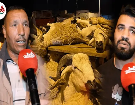 سلطات أزمور تنظم عمليات الذبح بالمجازر