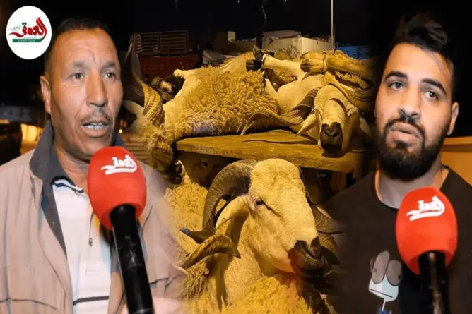 سلطات أزمور تنظم عمليات الذبح بالمجازر